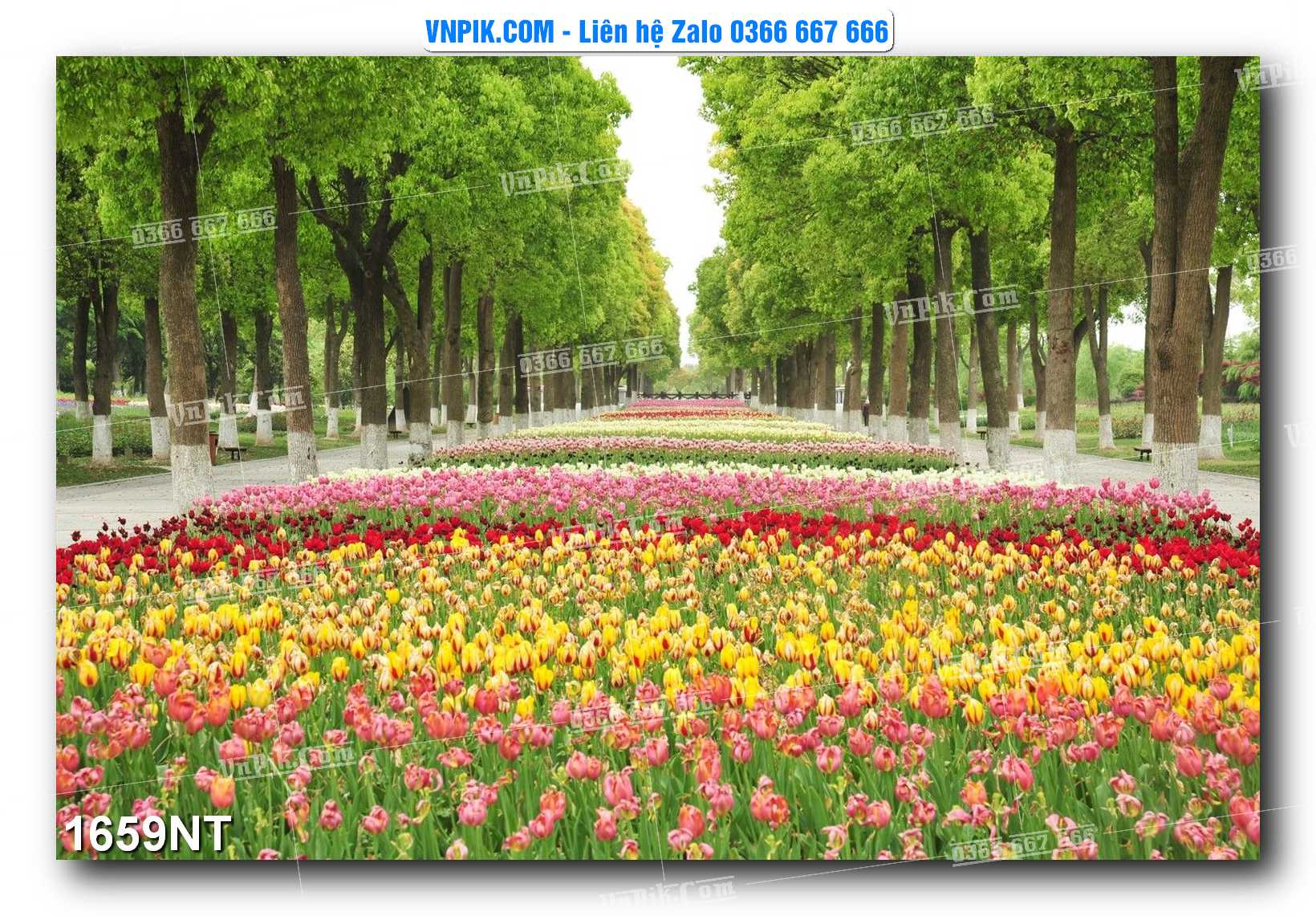 Tranh Trang Trí Phong Cảnh Nghệ Thuật Mã Số 1659NT