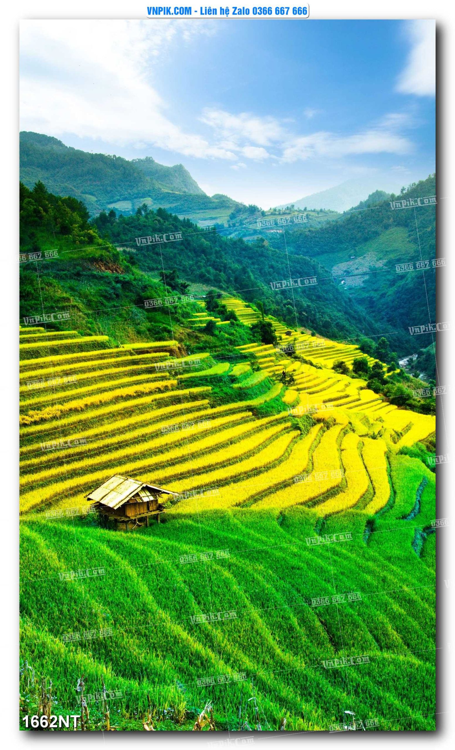 Tranh Trang Trí Phong Cảnh Nghệ Thuật Mã Số 1662NT