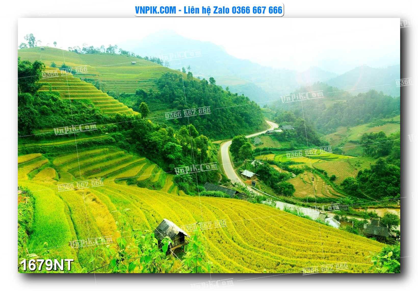Tranh Trang Trí Phong Cảnh Nghệ Thuật Mã Số 1679NT