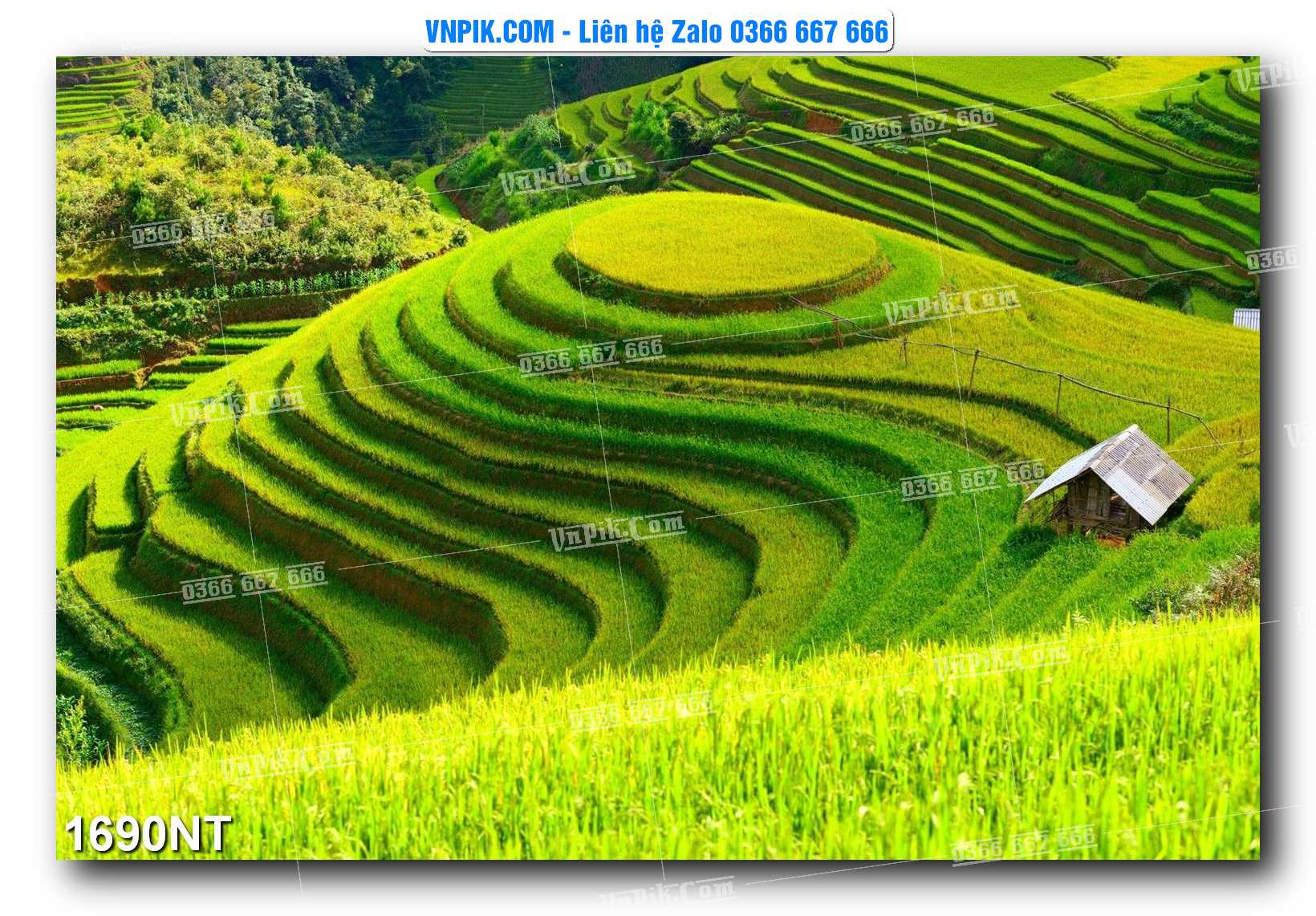Tranh Trang Trí Phong Cảnh Nghệ Thuật Mã Số 1690NT