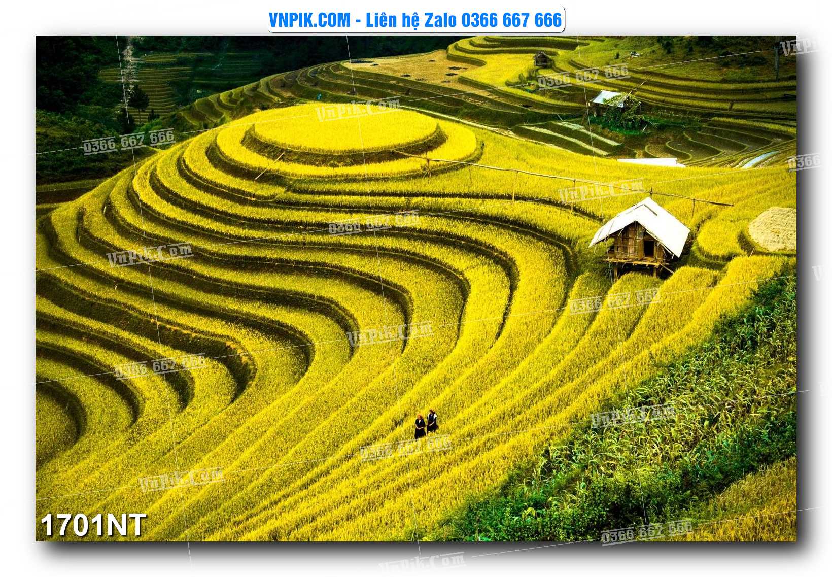 Tranh Trang Trí Phong Cảnh Nghệ Thuật Mã Số 1701NT