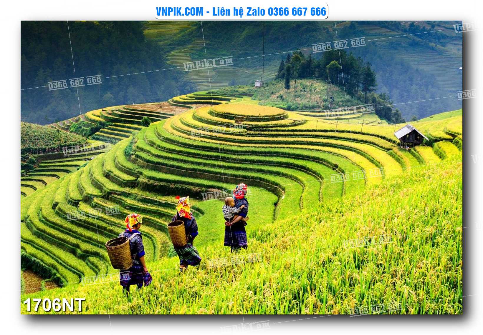 Tranh Trang Trí Phong Cảnh Nghệ Thuật Mã Số 1706NT