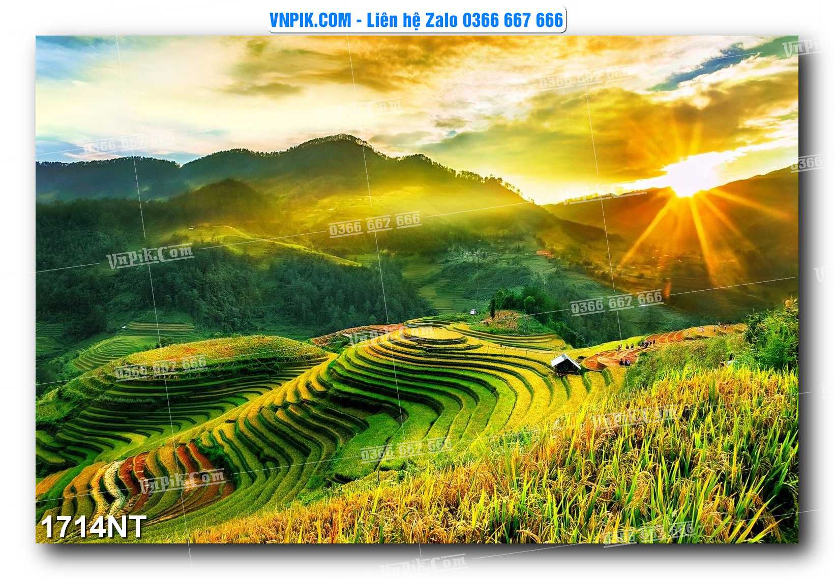 Tranh Trang Trí Phong Cảnh Nghệ Thuật Mã Số 1714NT