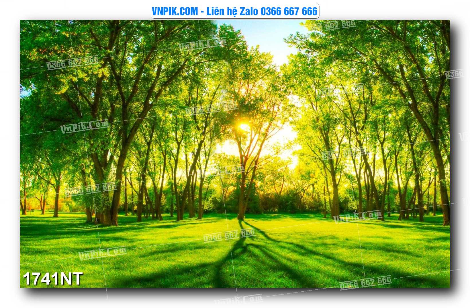 Tranh Trang Trí Phong Cảnh Nghệ Thuật Mã Số 1741NT