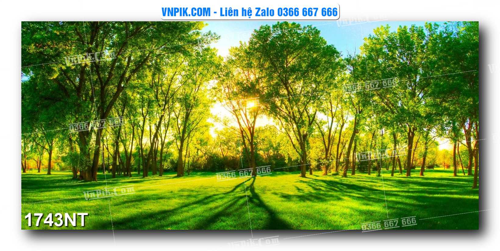 Tranh Trang Trí Phong Cảnh Nghệ Thuật Mã Số 1743NT