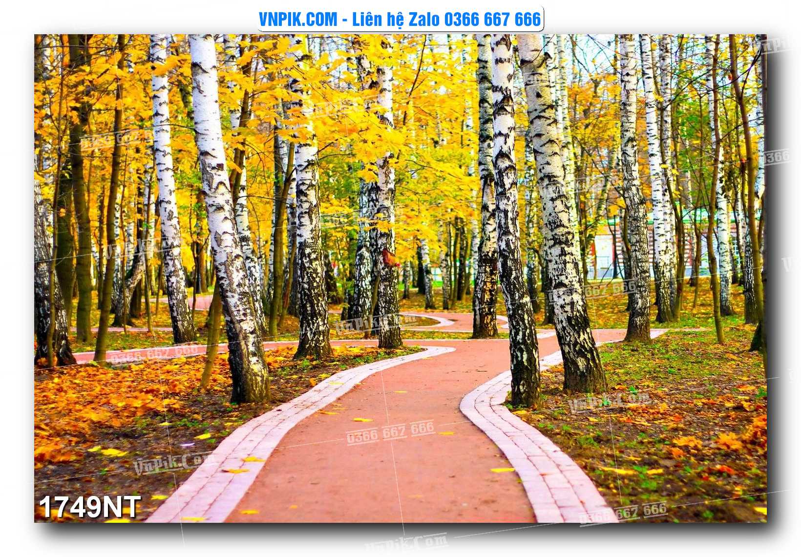 Tranh Trang Trí Phong Cảnh Nghệ Thuật Mã Số 1749NT