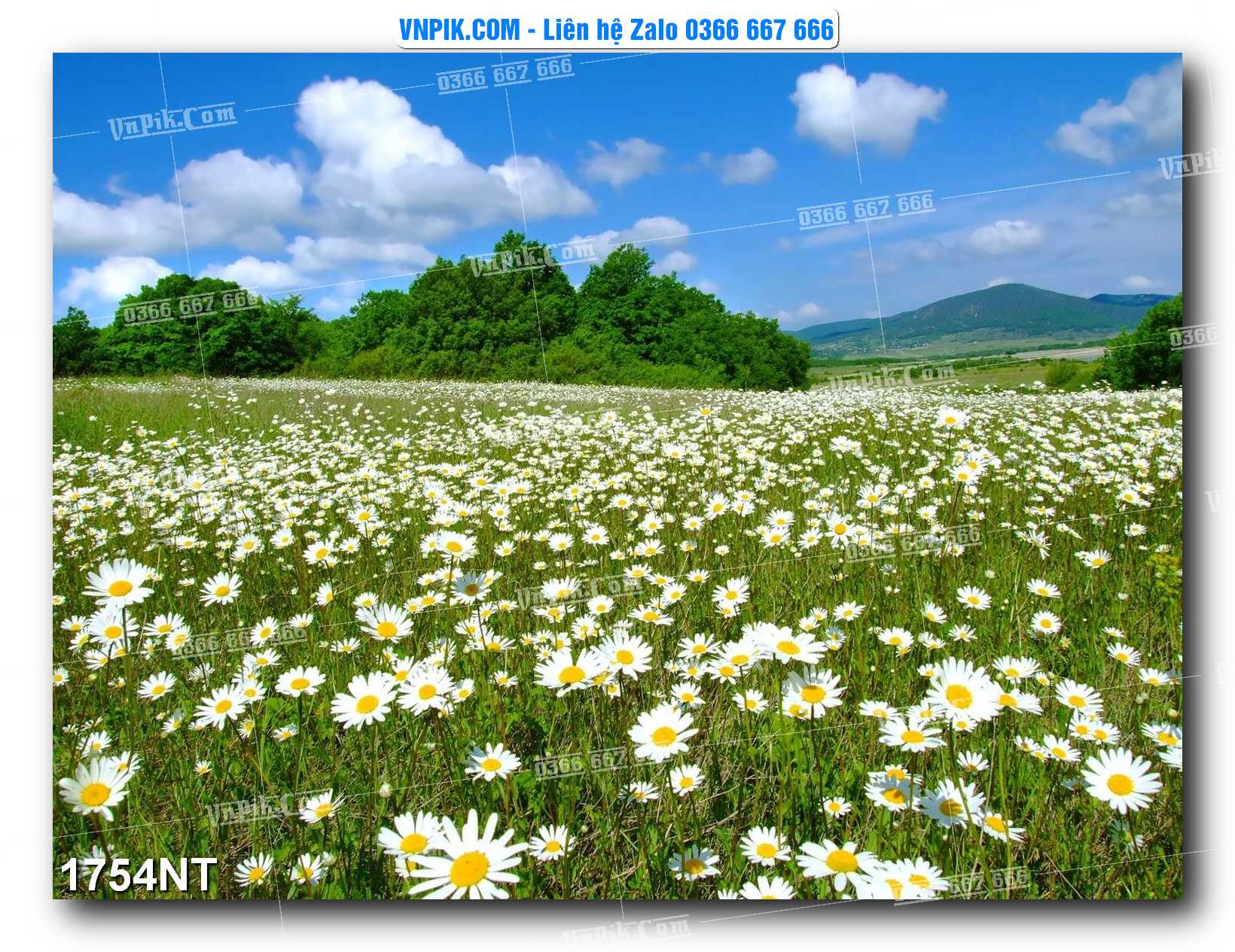 Tranh Trang Trí Phong Cảnh Nghệ Thuật Mã Số 1754NT