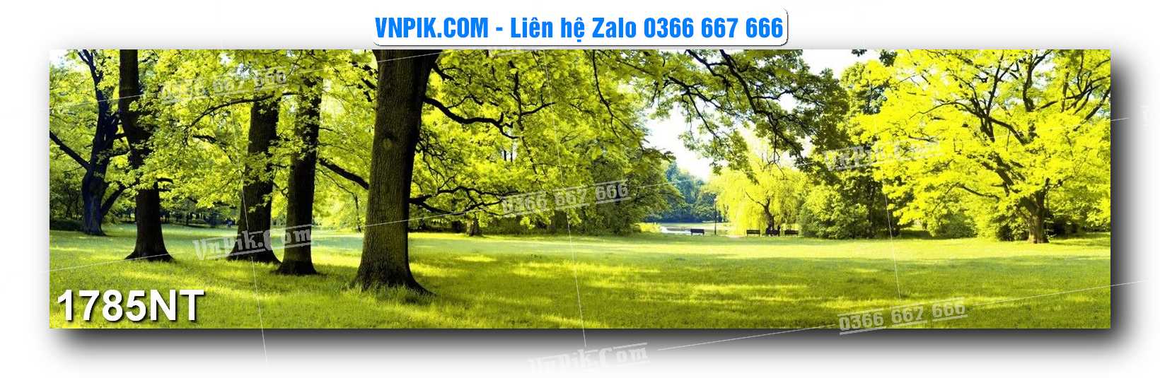 Tranh Trang Trí Phong Cảnh Nghệ Thuật Mã Số 1785NT