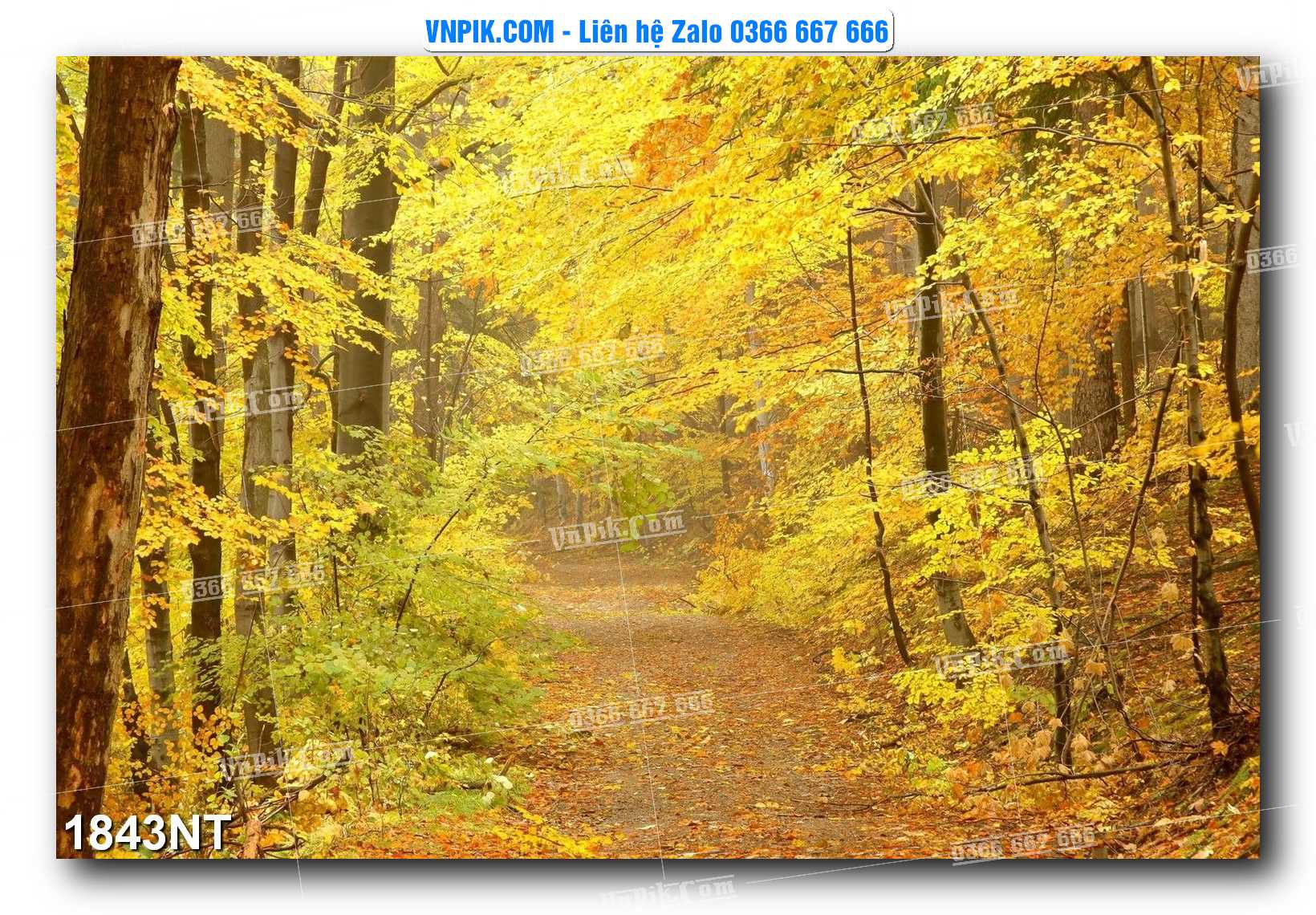 Tranh Trang Trí Phong Cảnh Nghệ Thuật Mã Số 1843NT