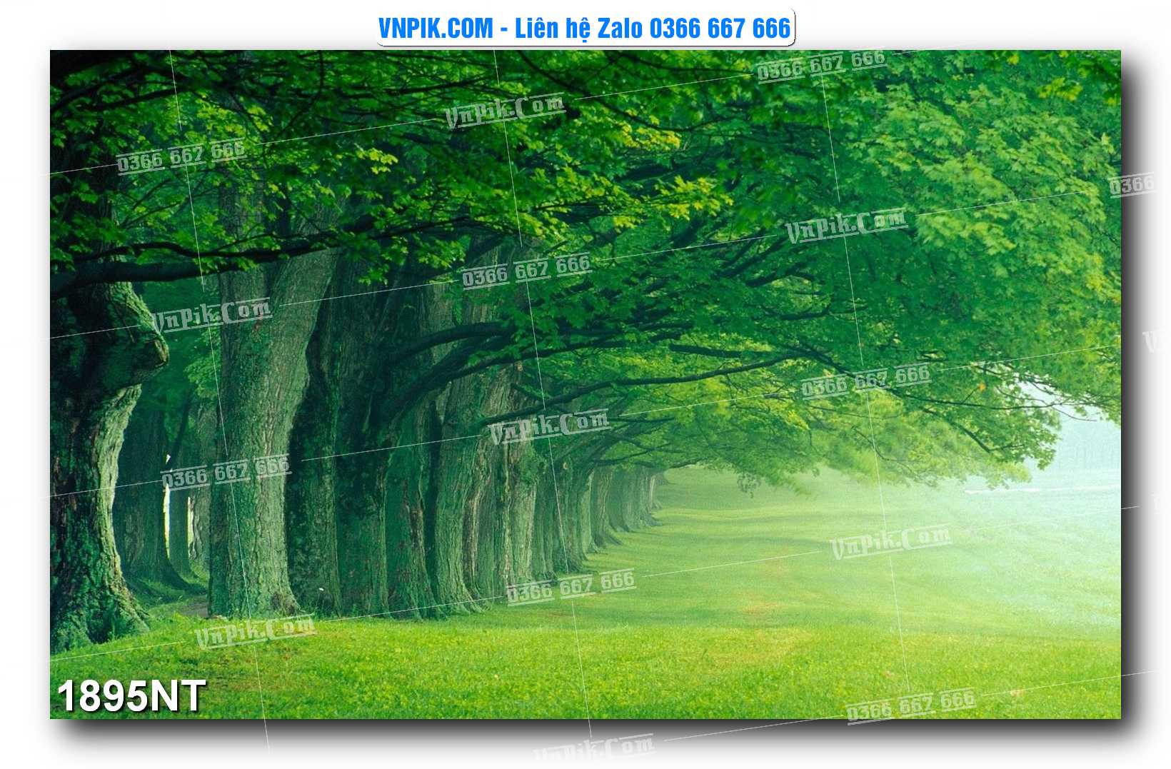 Tranh Trang Trí Phong Cảnh Nghệ Thuật Mã Số 1895NT