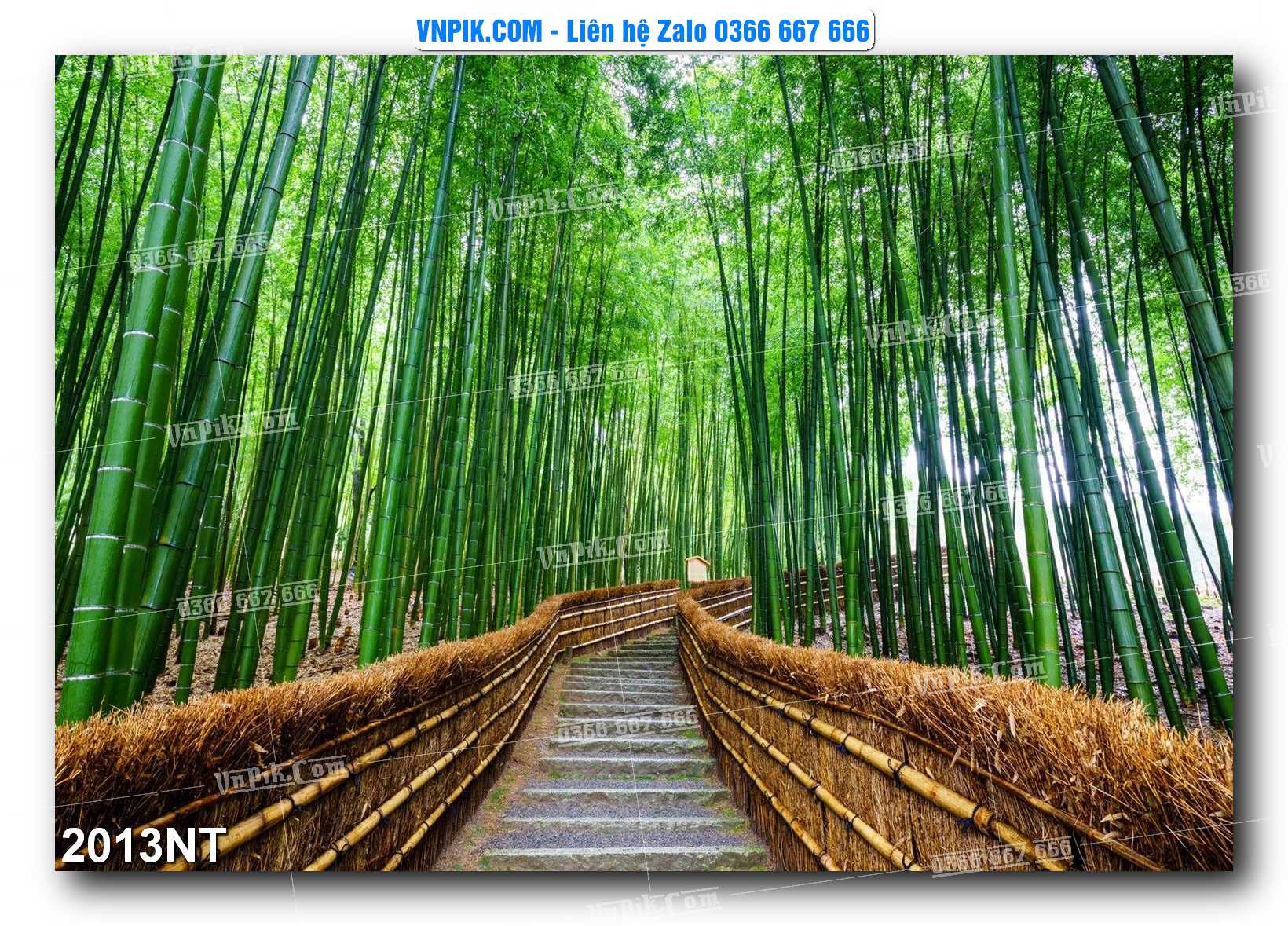 Tranh Trang Trí Phong Cảnh Nghệ Thuật Mã Số 2013NT