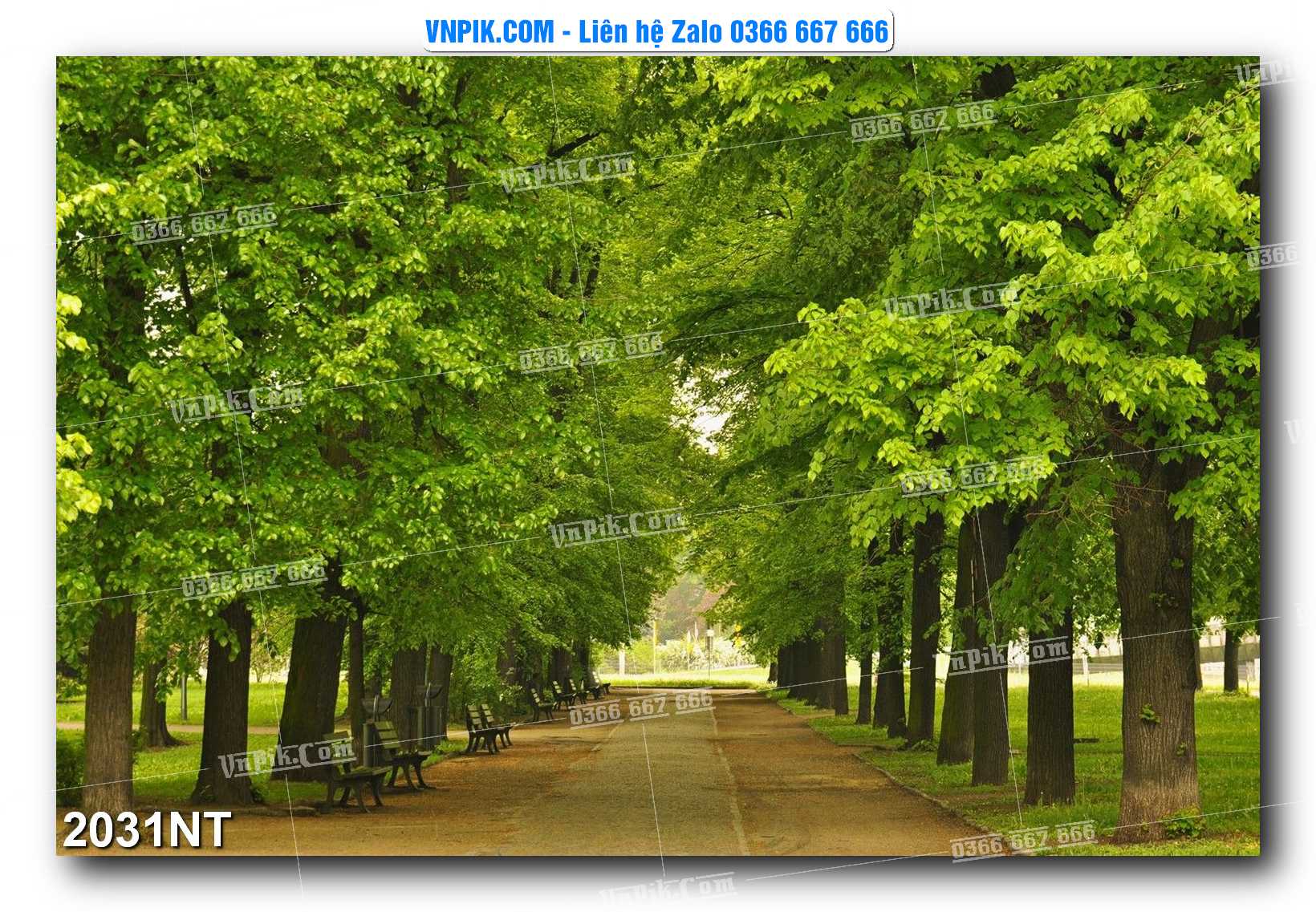 Tranh Trang Trí Phong Cảnh Nghệ Thuật Mã Số 2031NT