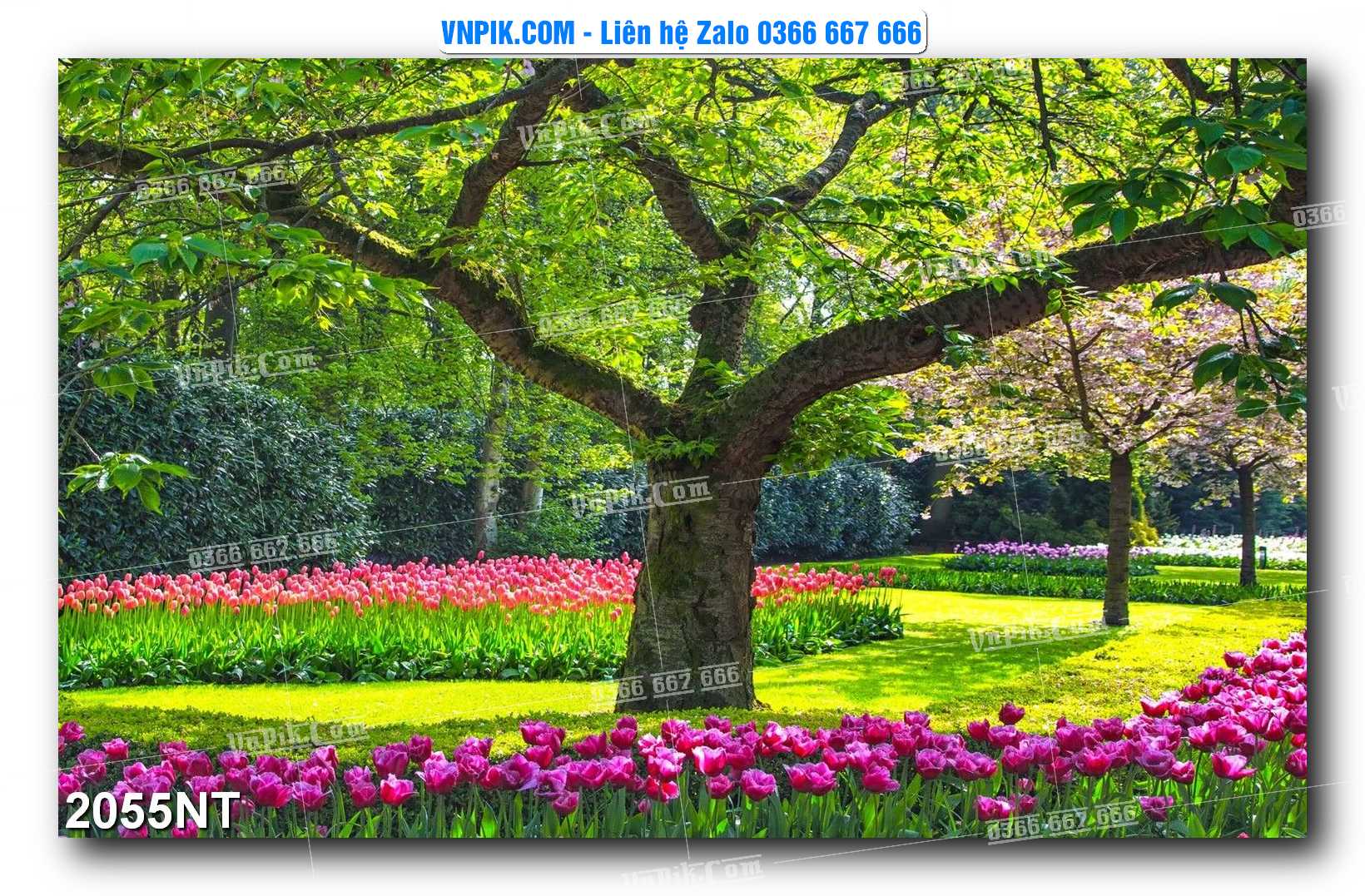 Tranh Trang Trí Phong Cảnh Nghệ Thuật Mã Số 2055NT