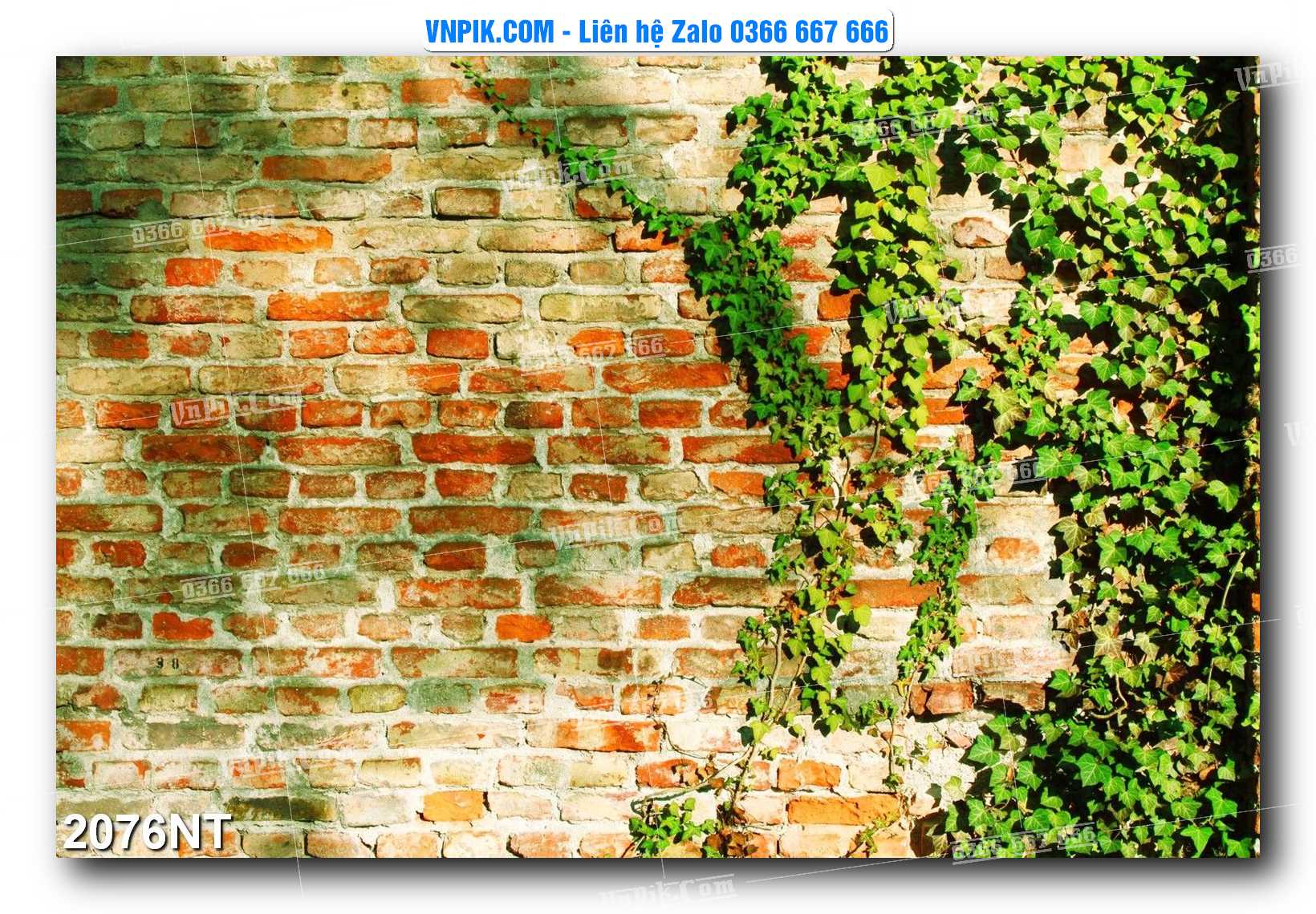 Tranh Trang Trí Phong Cảnh Nghệ Thuật Mã Số 2076NT