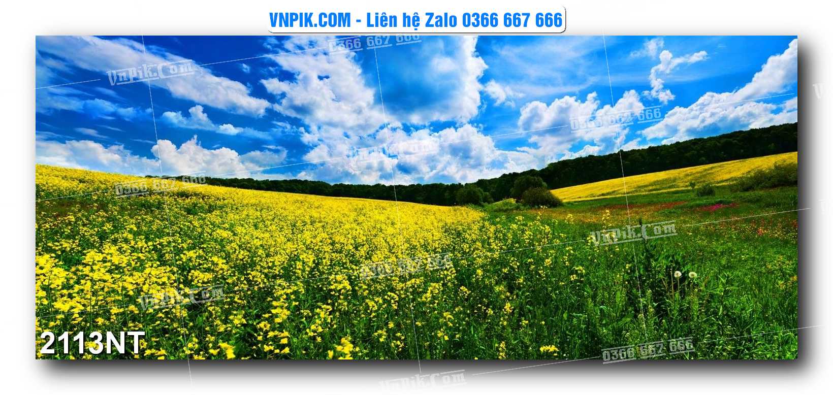 Tranh Trang Trí Phong Cảnh Nghệ Thuật Mã Số 2113NT