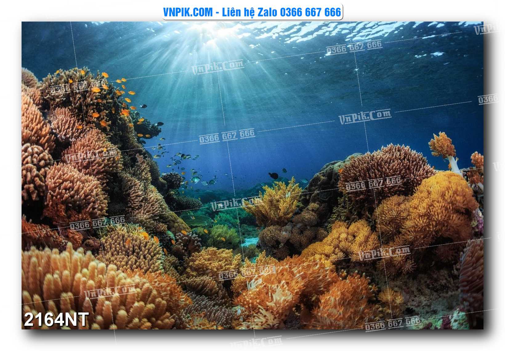 Tranh Trang Trí Phong Cảnh Nghệ Thuật Mã Số 2164NT