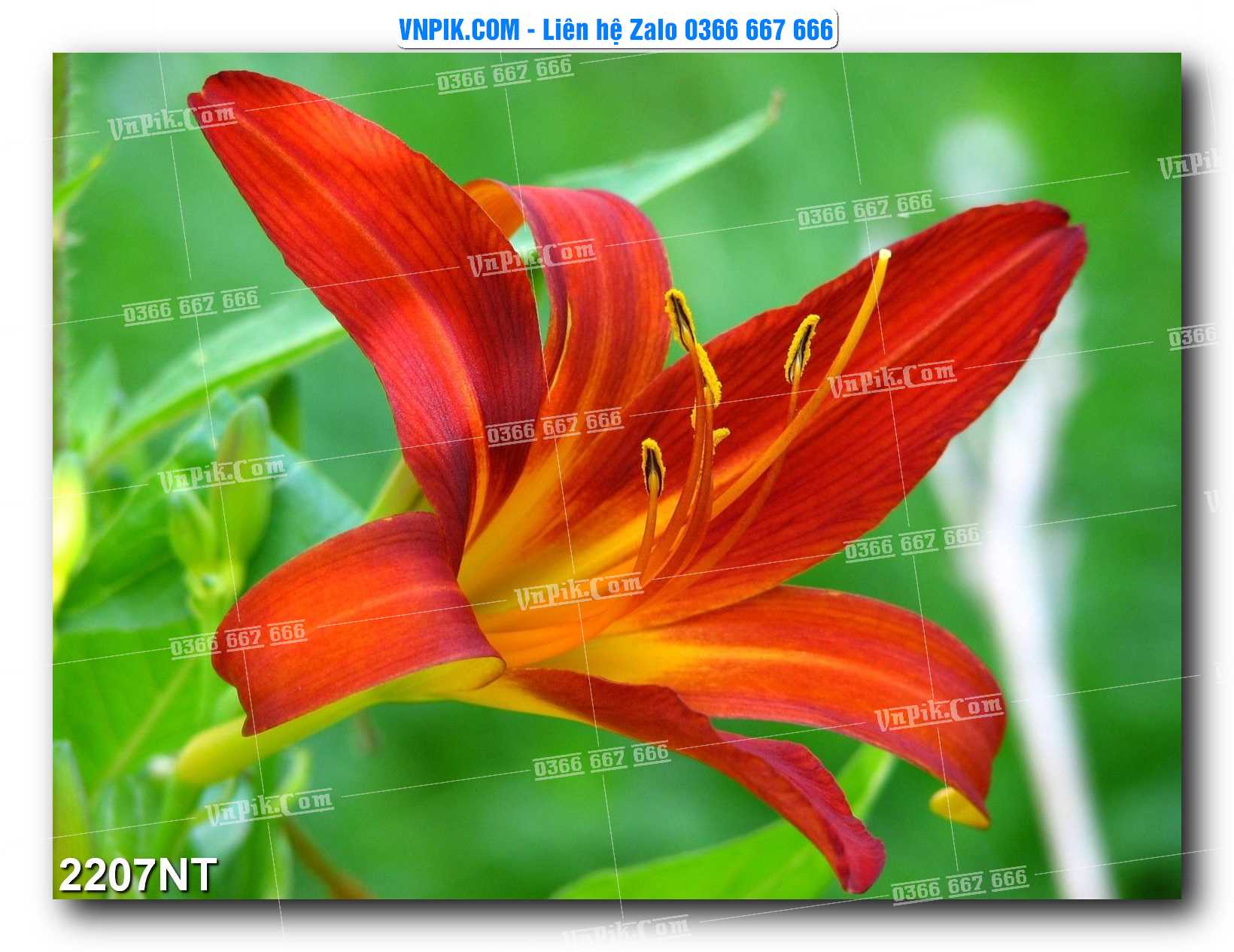 Tranh Trang Trí Phong Cảnh Nghệ Thuật Mã Số 2207NT
