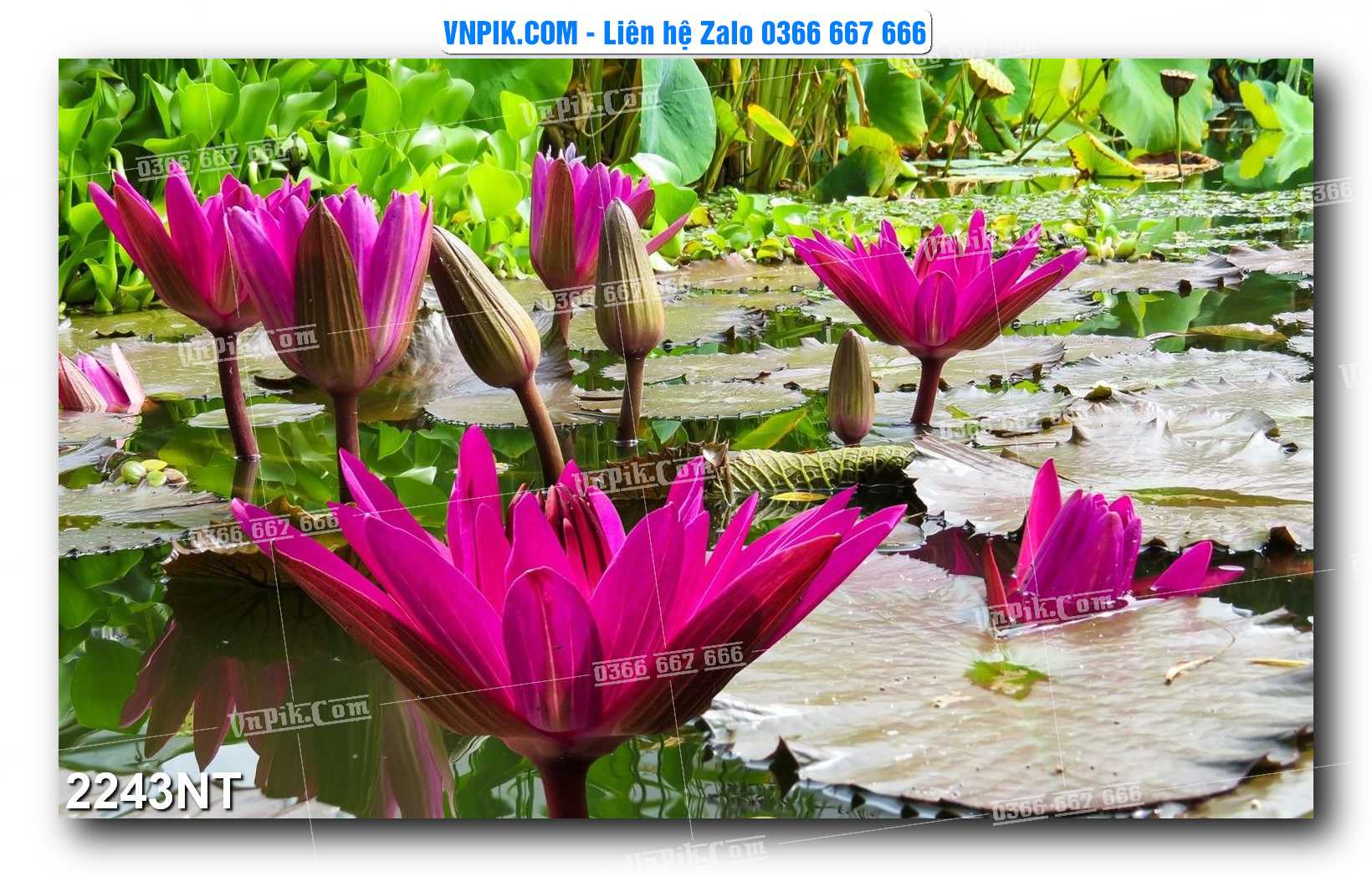 Tranh Trang Trí Phong Cảnh Nghệ Thuật Mã Số 2243NT