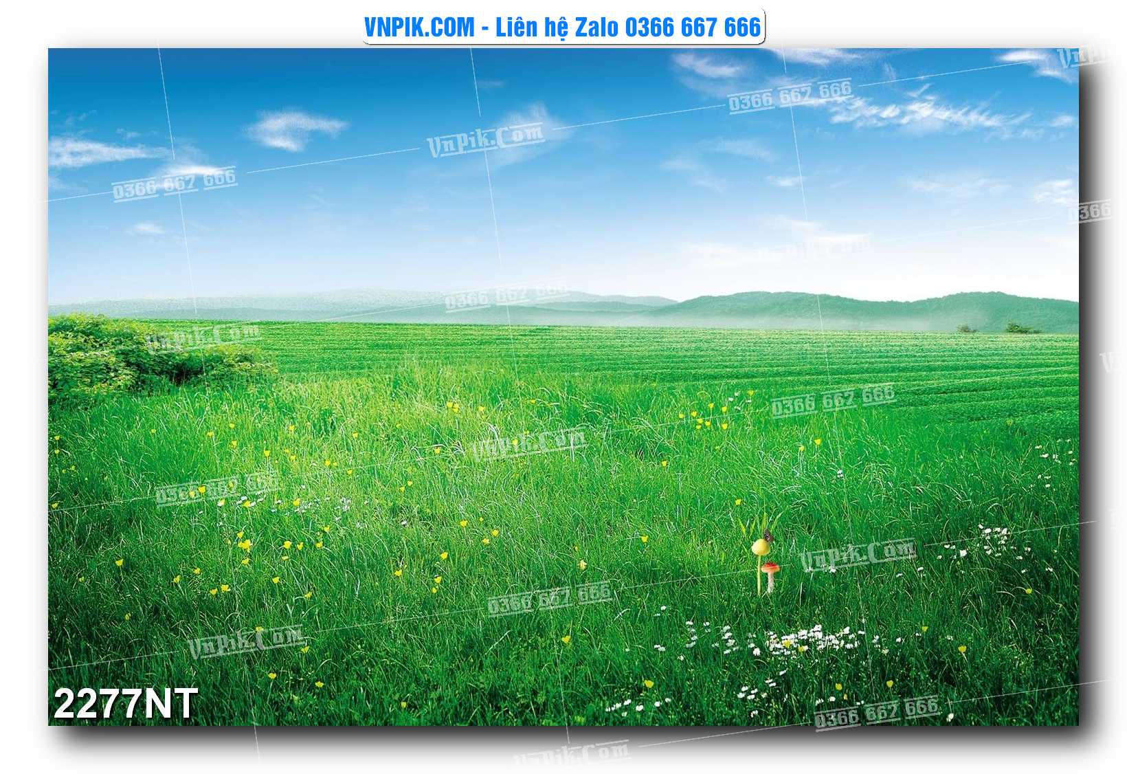 Tranh Trang Trí Phong Cảnh Nghệ Thuật Mã Số 2277NT