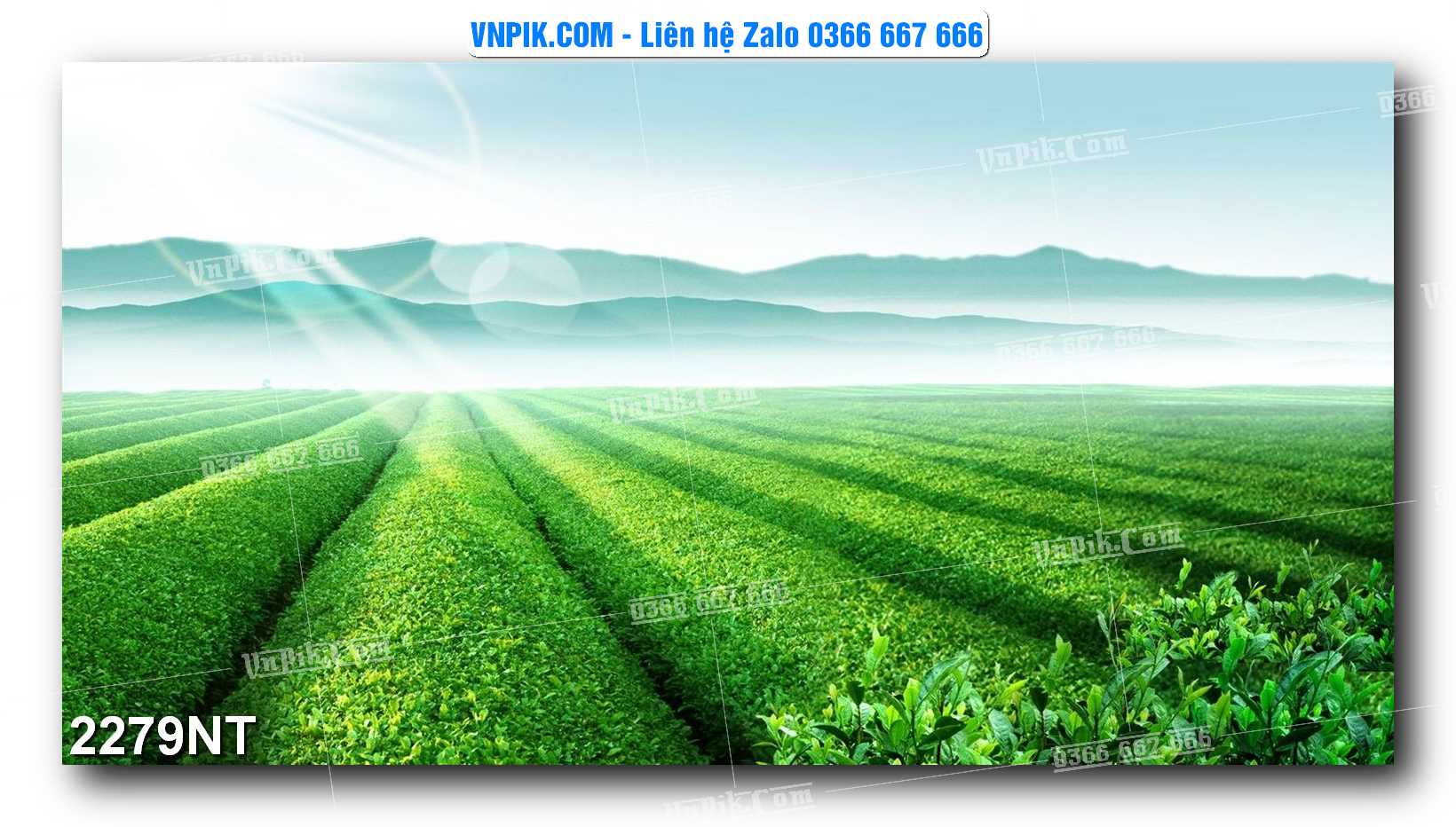 Tranh Trang Trí Phong Cảnh Nghệ Thuật Mã Số 2279NT