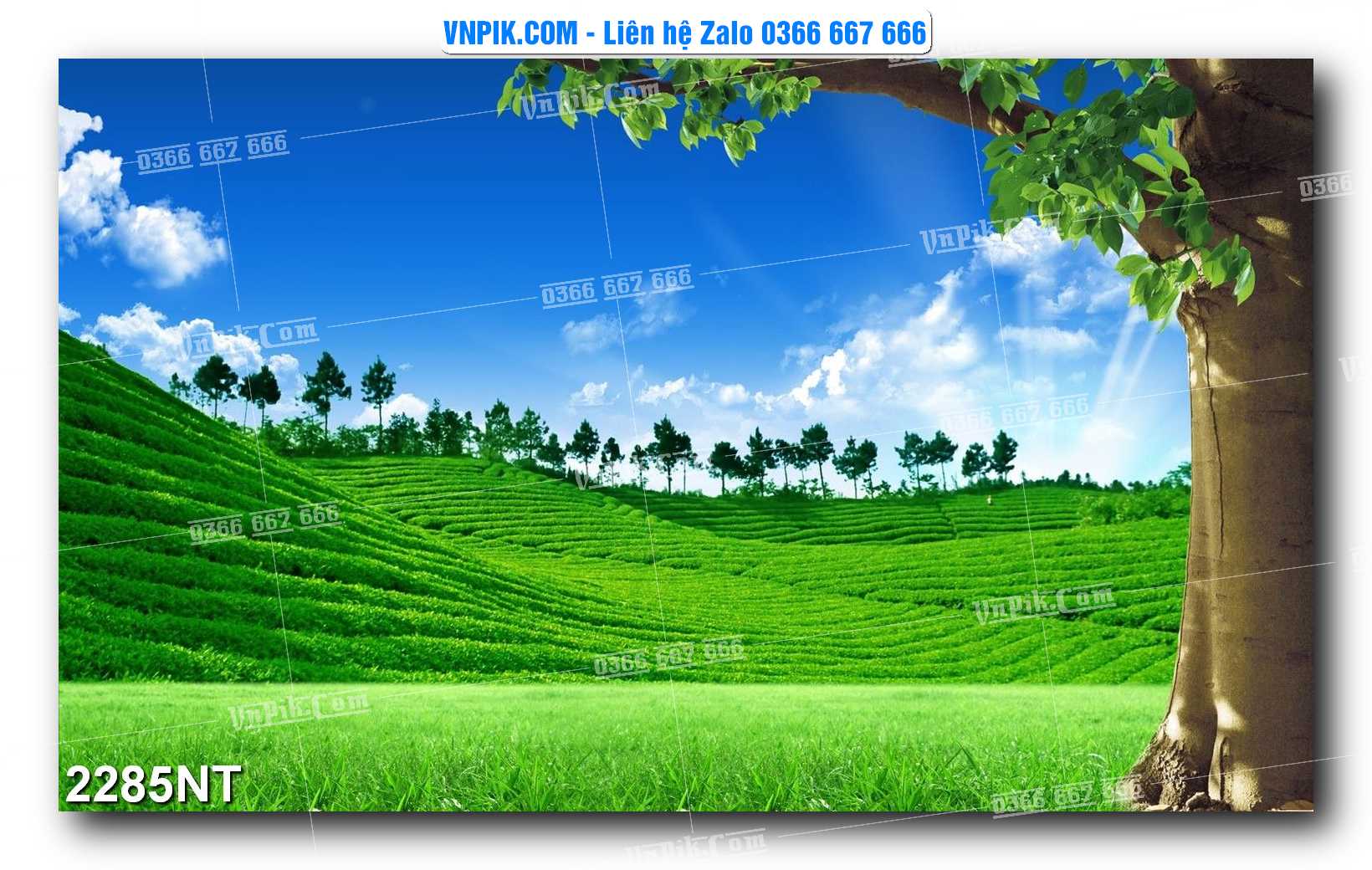Tranh Trang Trí Phong Cảnh Nghệ Thuật Mã Số 2285NT