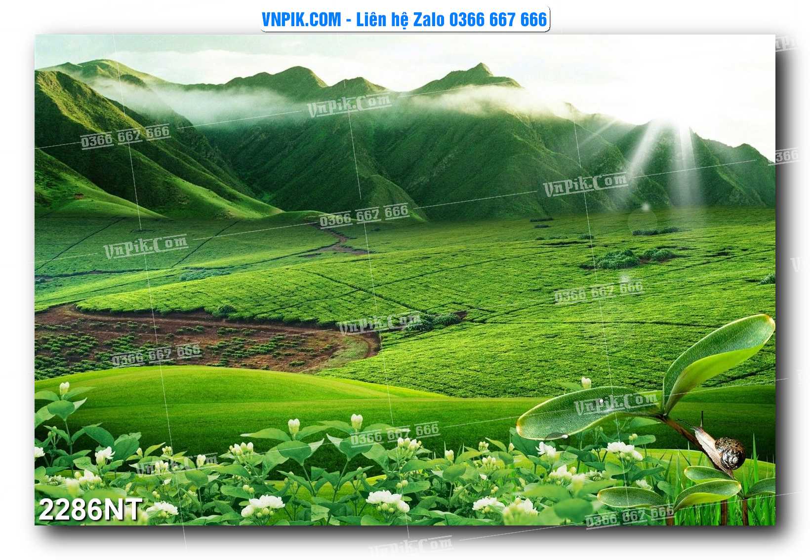 Tranh Trang Trí Phong Cảnh Nghệ Thuật Mã Số 2286NT