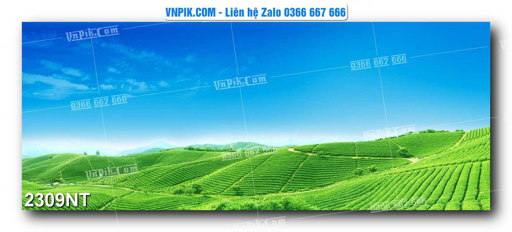 Tranh Trang Trí Phong Cảnh Nghệ Thuật Mã Số 2309NT