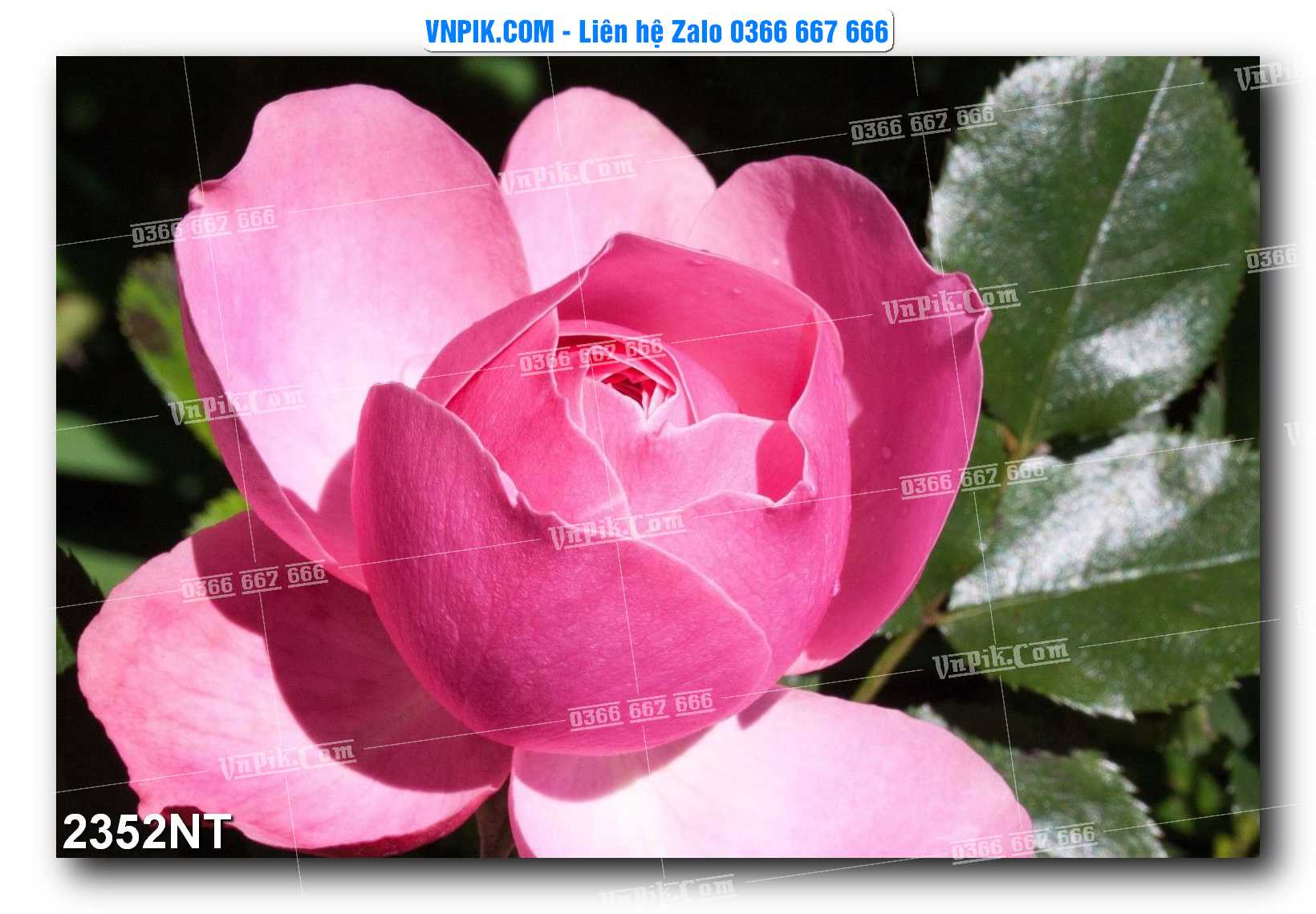 Tranh Trang Trí Phong Cảnh Nghệ Thuật Mã Số 2352NT
