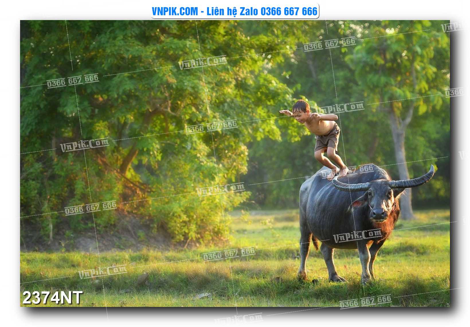 Tranh Trang Trí Phong Cảnh Nghệ Thuật Mã Số 2374NT