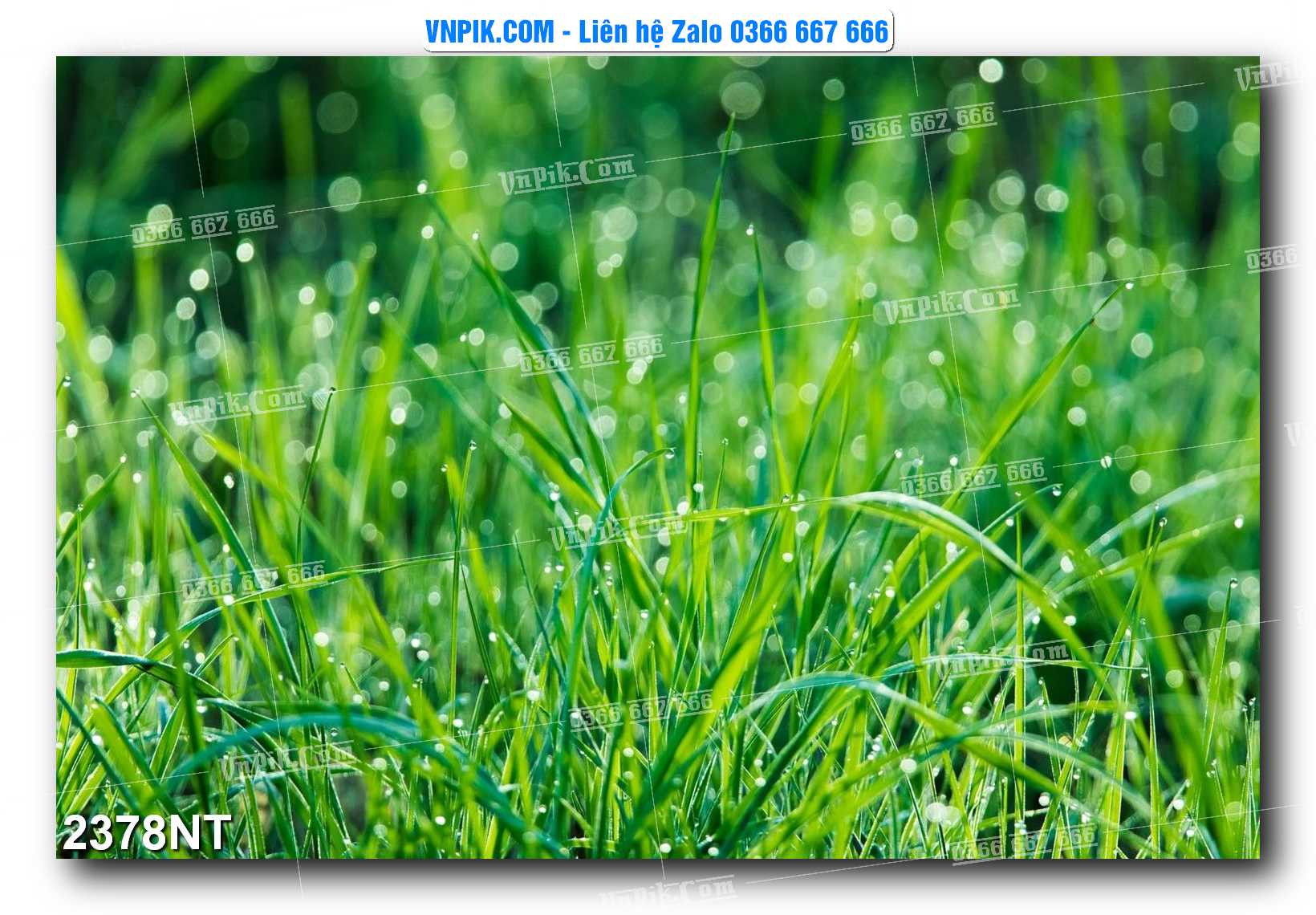 Tranh Trang Trí Phong Cảnh Nghệ Thuật Mã Số 2378NT