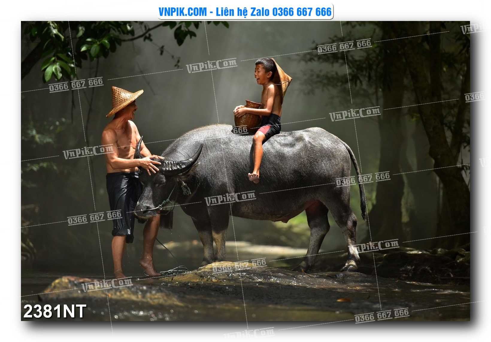 Tranh Trang Trí Phong Cảnh Nghệ Thuật Mã Số 2381NT