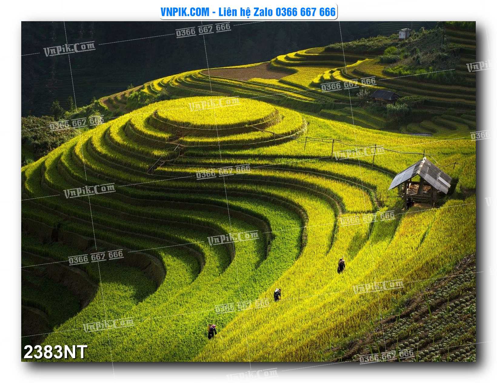Tranh Trang Trí Phong Cảnh Nghệ Thuật Mã Số 2383NT