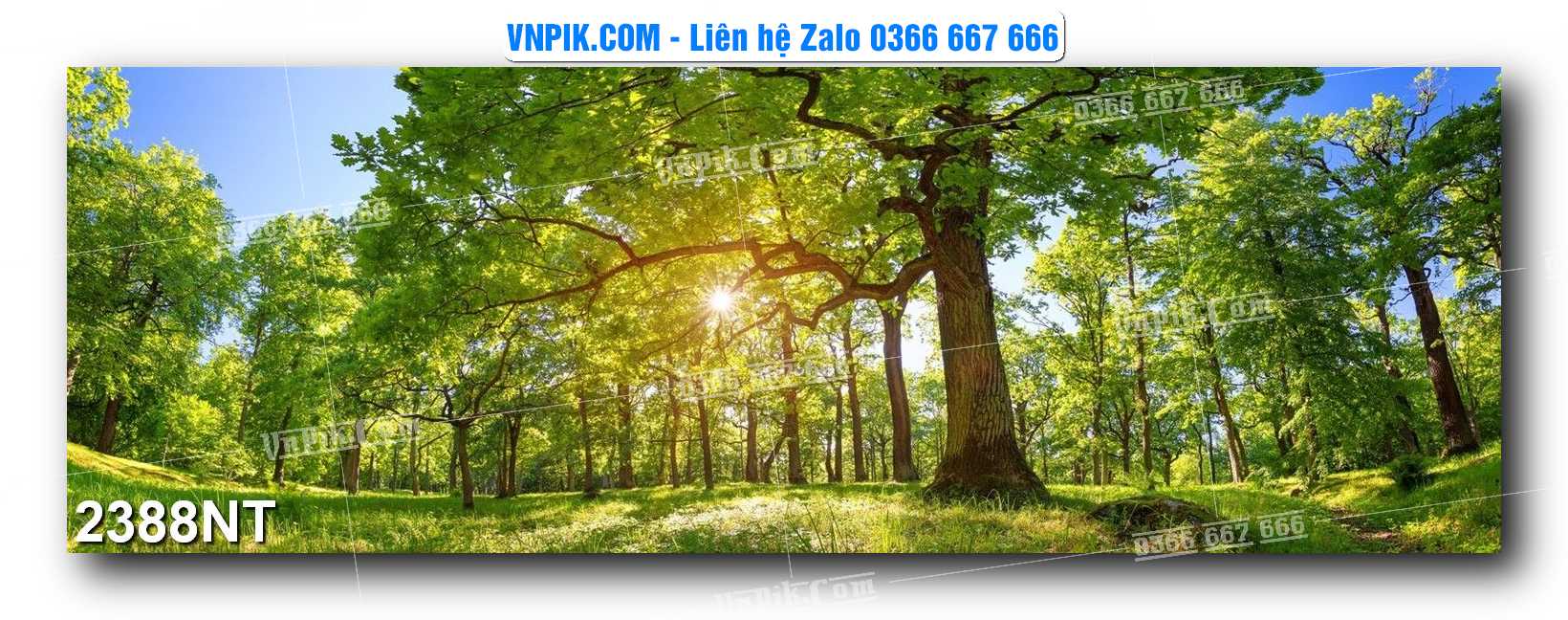 Tranh Trang Trí Phong Cảnh Nghệ Thuật Mã Số 2388NT