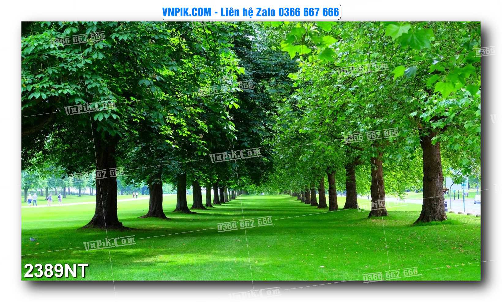 Tranh Trang Trí Phong Cảnh Nghệ Thuật Mã Số 2389NT