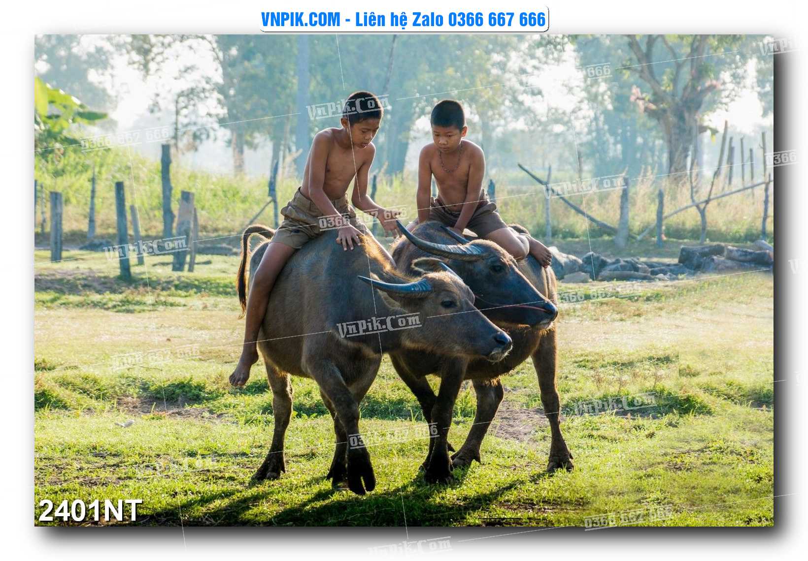 Tranh Trang Trí Phong Cảnh Nghệ Thuật Mã Số 2401NT