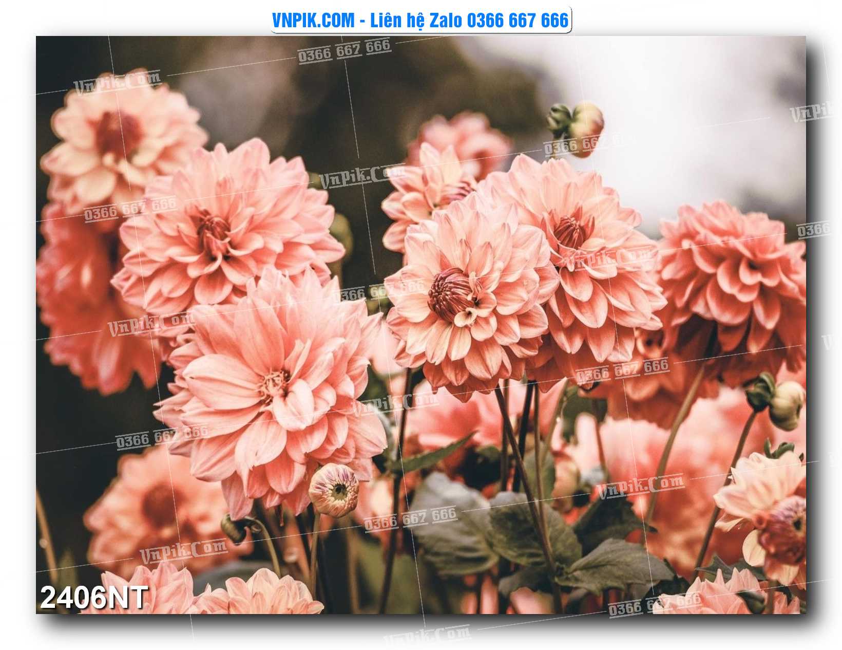 Tranh Trang Trí Phong Cảnh Nghệ Thuật Mã Số 2406NT