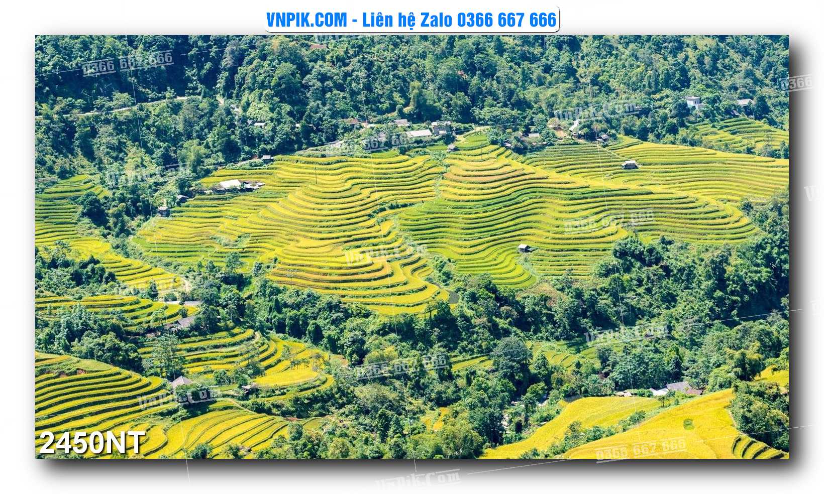 Tranh Trang Trí Phong Cảnh Nghệ Thuật Mã Số 2450NT