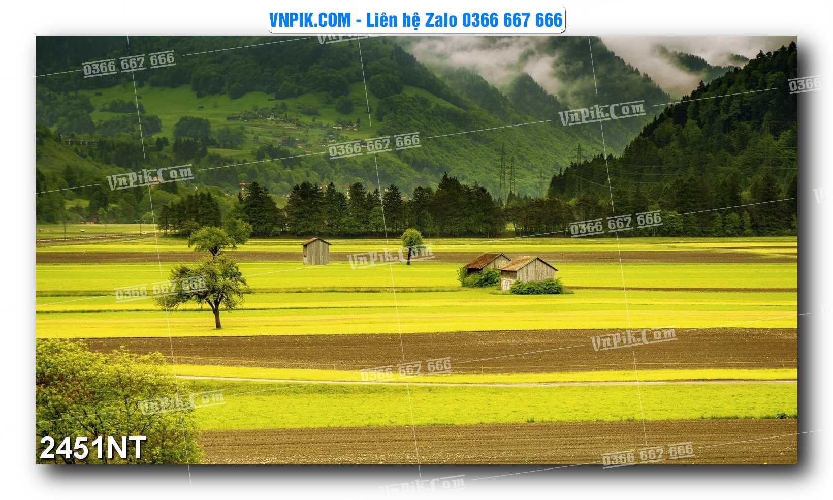 Tranh Trang Trí Phong Cảnh Nghệ Thuật Mã Số 2451NT