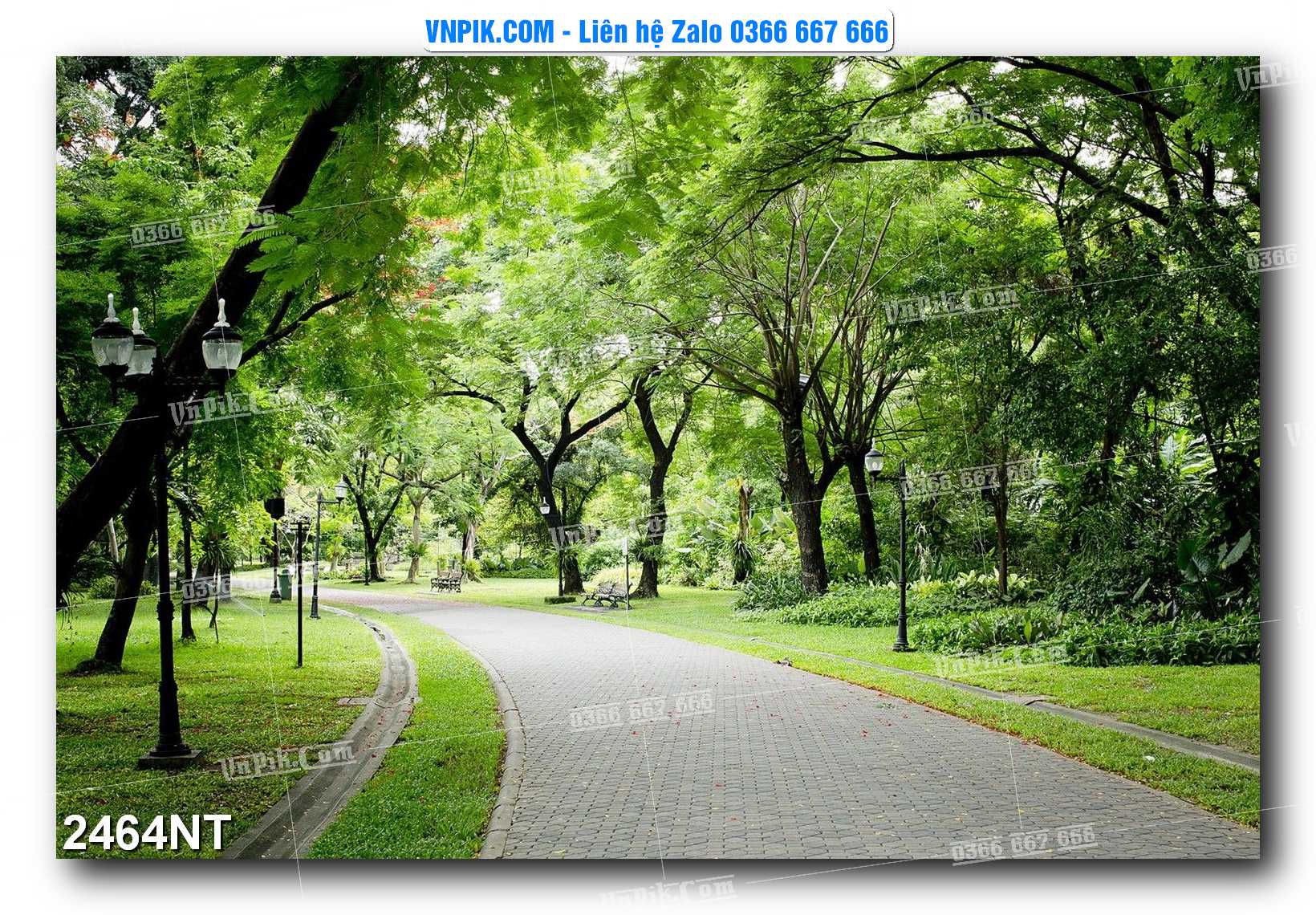 Tranh Trang Trí Phong Cảnh Nghệ Thuật Mã Số 2464NT
