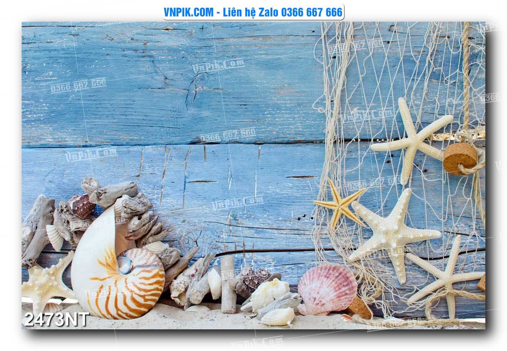 Tranh Trang Trí Phong Cảnh Nghệ Thuật Mã Số 2473NT