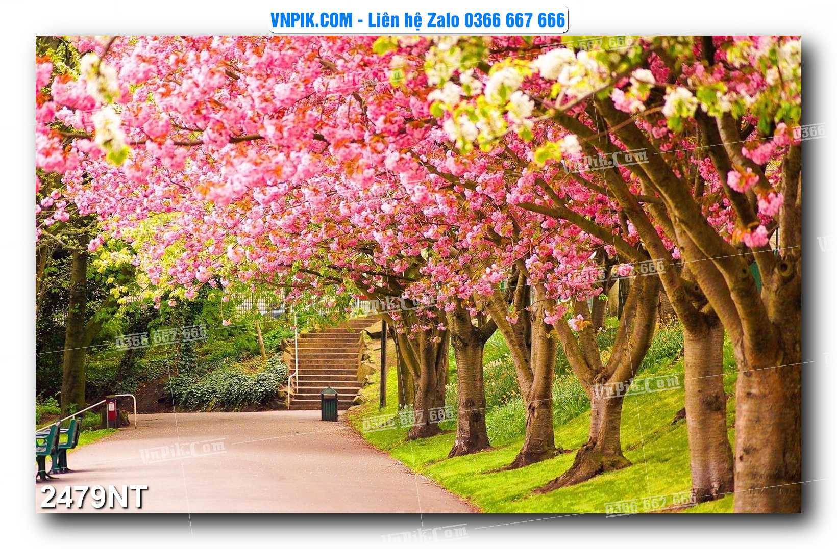Tranh Trang Trí Phong Cảnh Nghệ Thuật Mã Số 2479NT