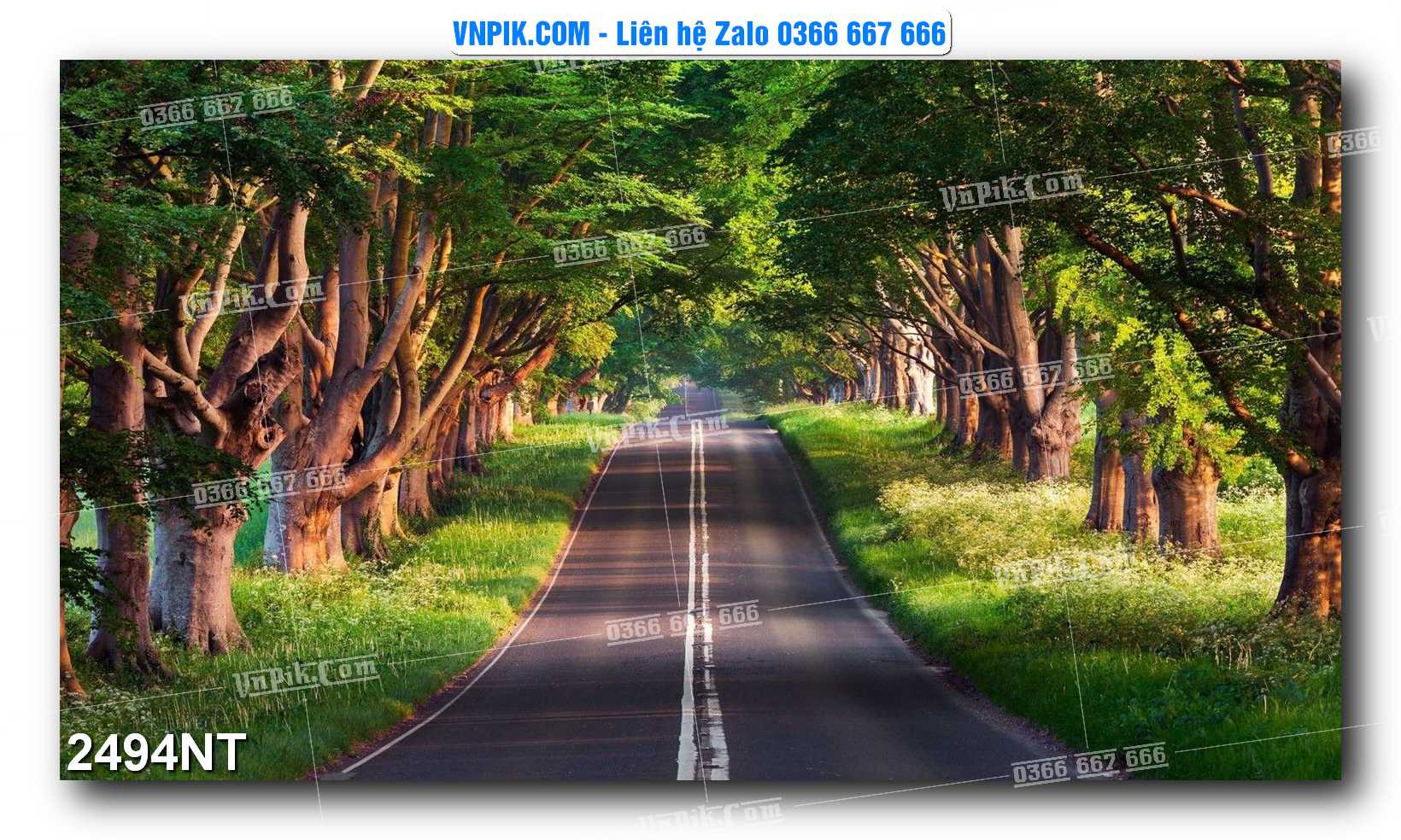 Tranh Trang Trí Phong Cảnh Nghệ Thuật Mã Số 2494NT