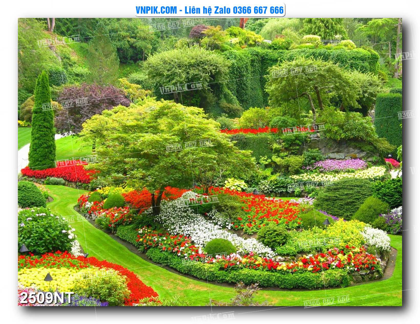 Tranh Trang Trí Phong Cảnh Nghệ Thuật Mã Số 2509NT