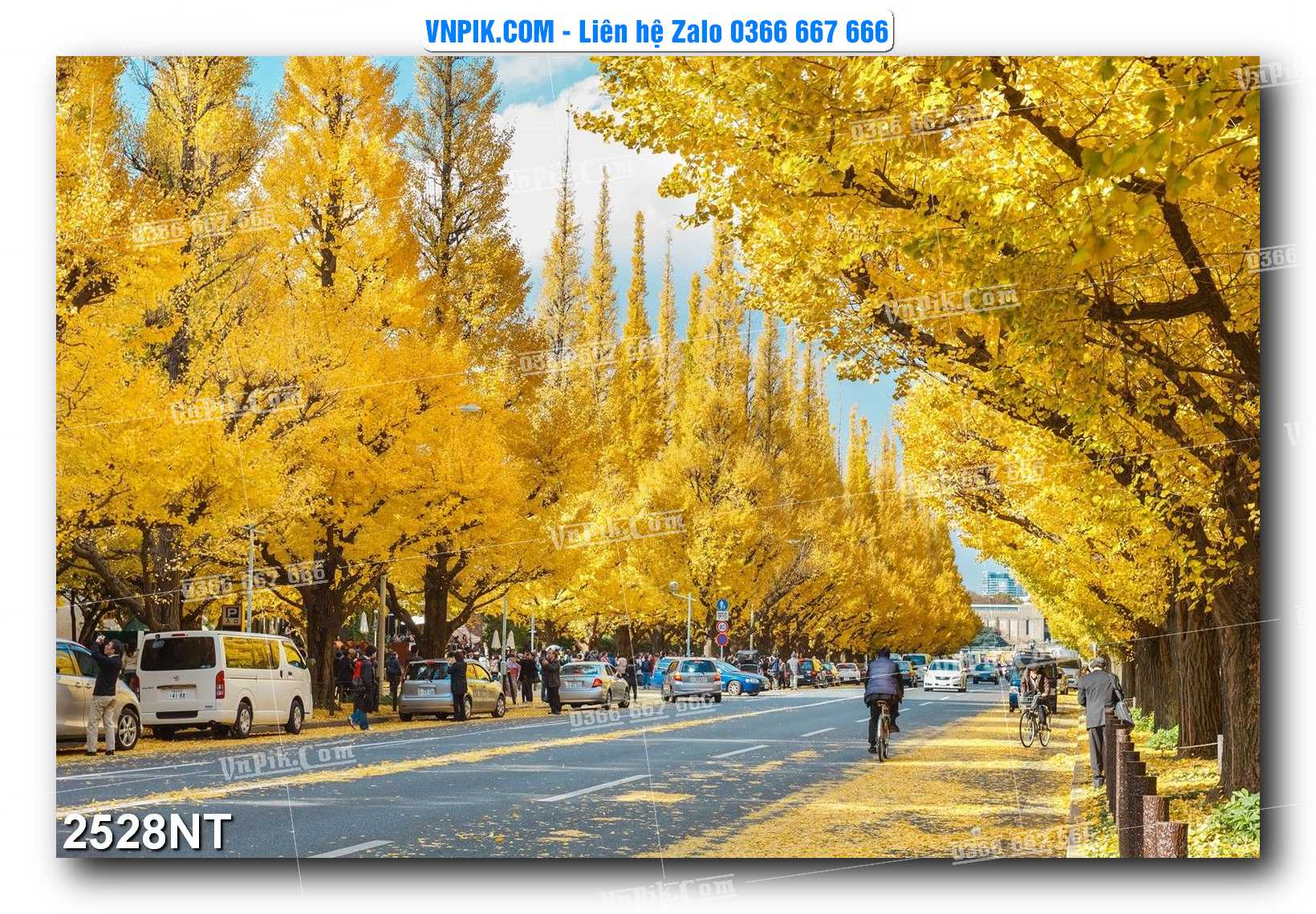 Tranh Trang Trí Phong Cảnh Nghệ Thuật Mã Số 2528NT