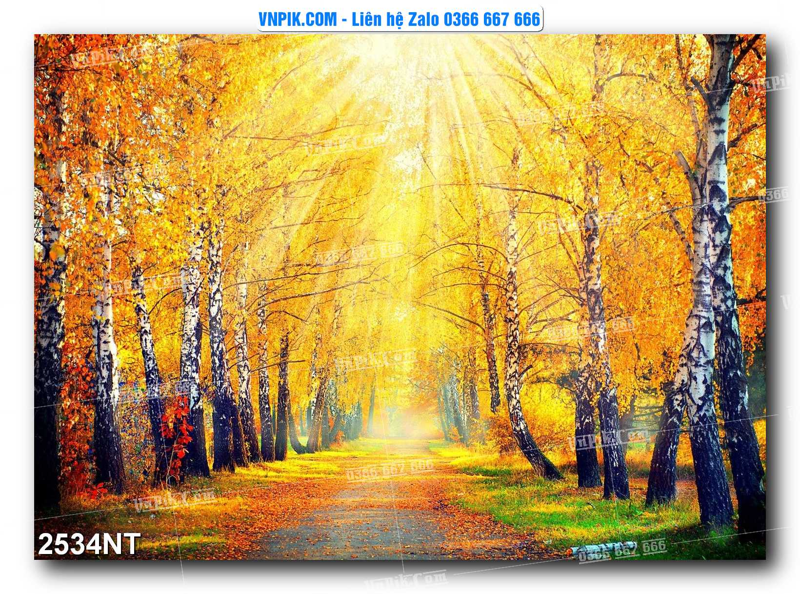 Tranh Trang Trí Phong Cảnh Nghệ Thuật Mã Số 2534NT