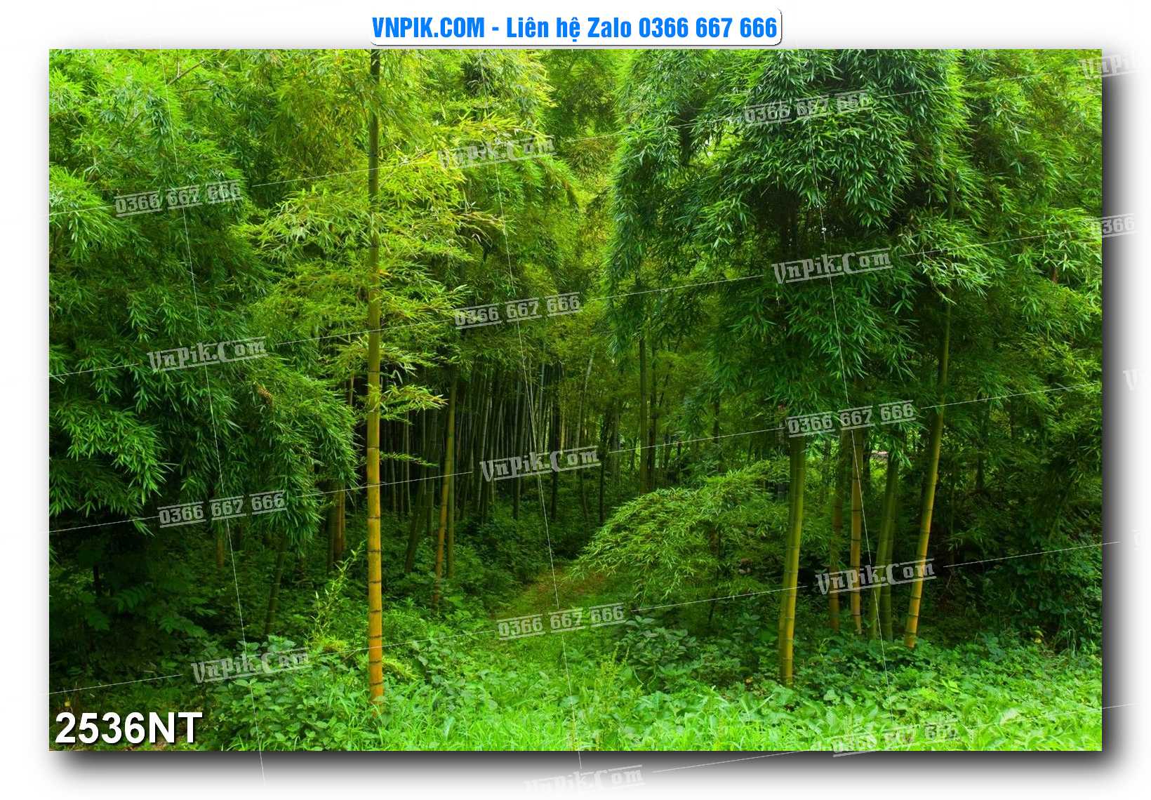 Tranh Trang Trí Phong Cảnh Nghệ Thuật Mã Số 2536NT