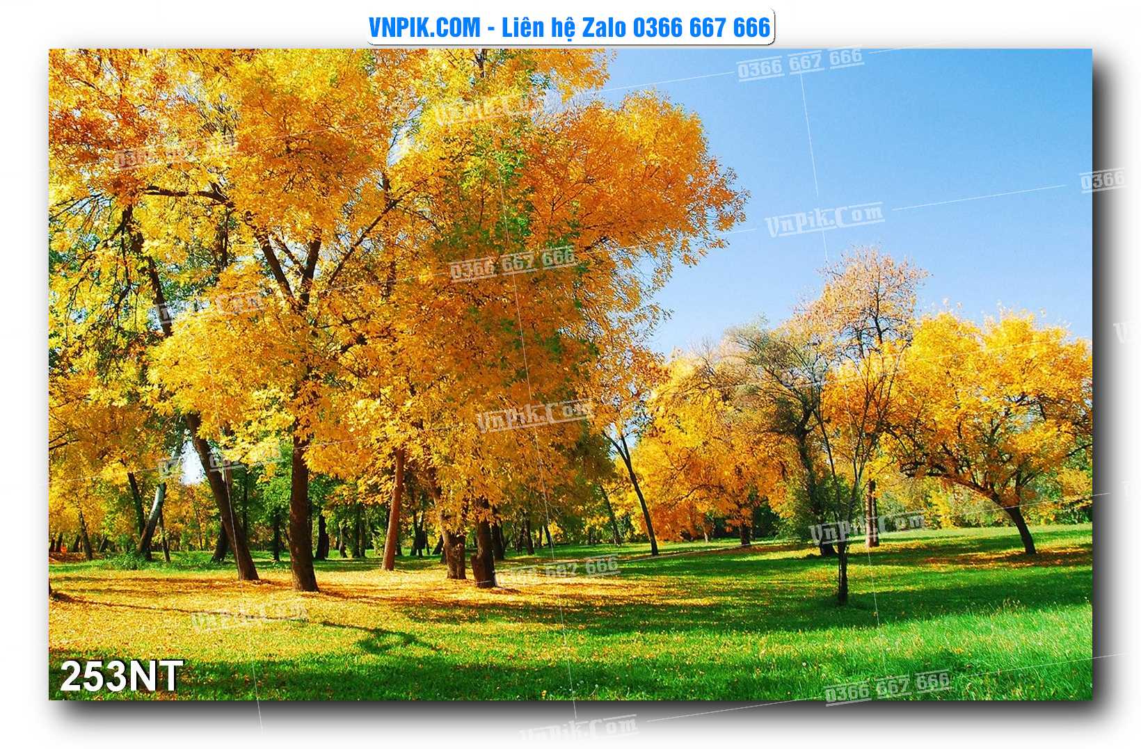 Tranh Trang Trí Phong Cảnh Nghệ Thuật Mã Số 253NT