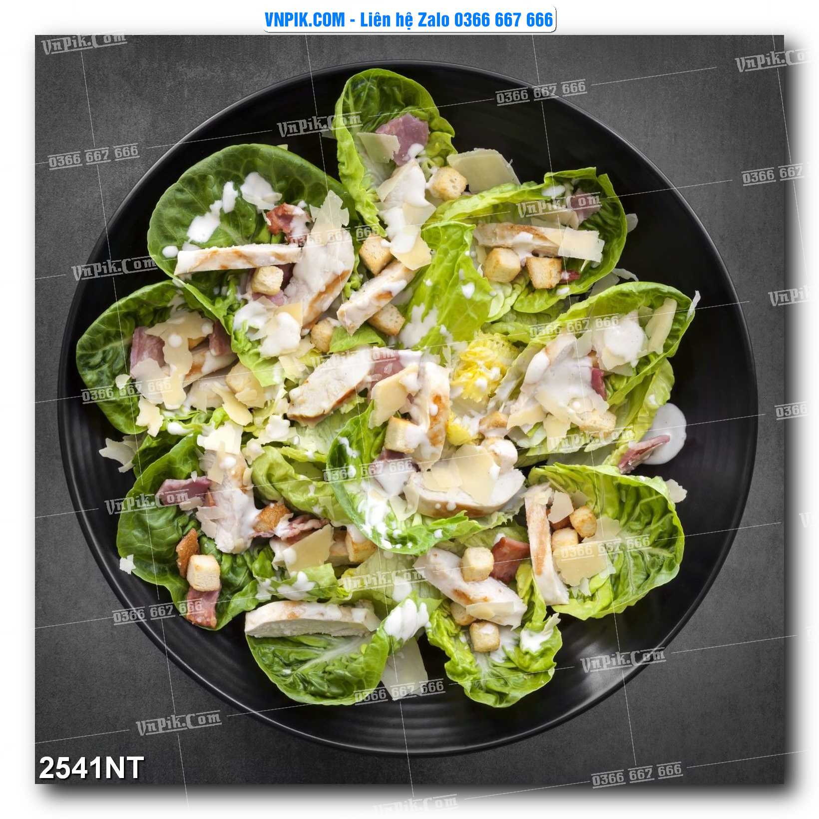 Tranh Trang Trí Phong Cảnh Nghệ Thuật Mã Số 2541NT