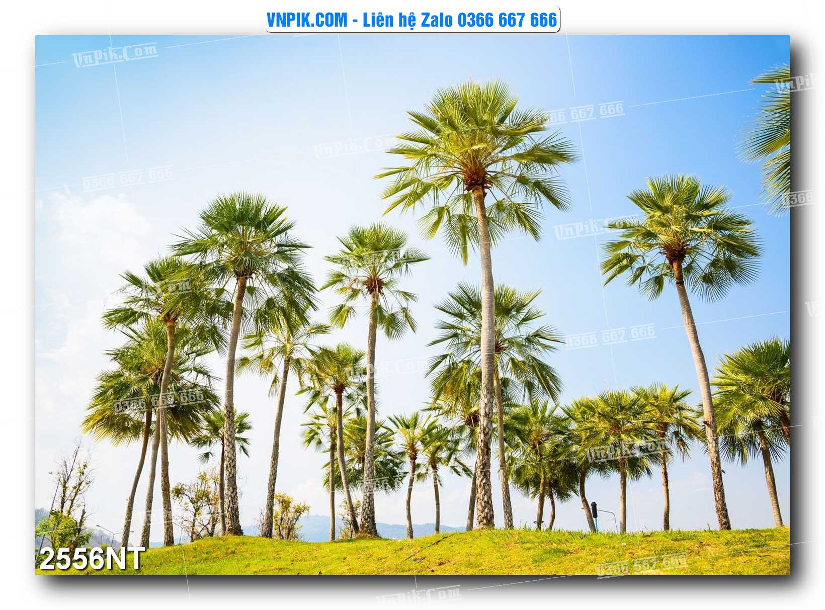Tranh Trang Trí Phong Cảnh Nghệ Thuật Mã Số 2556NT