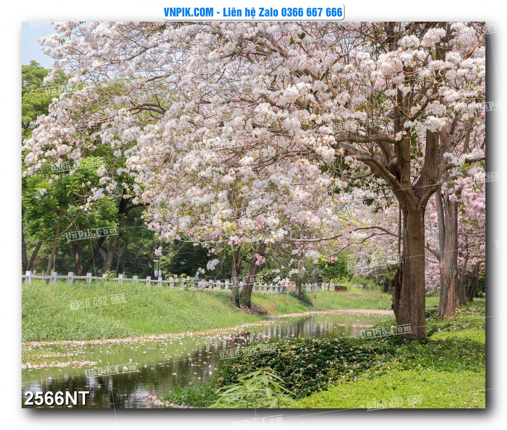 Tranh Trang Trí Phong Cảnh Nghệ Thuật Mã Số 2566NT